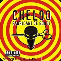 cheloo - Fabricant de gunoi - muzica