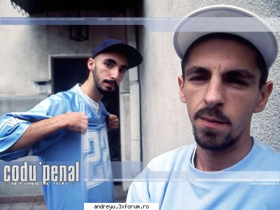 codu penal